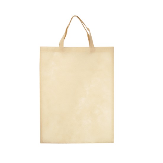 Τσάντα non woven 2538