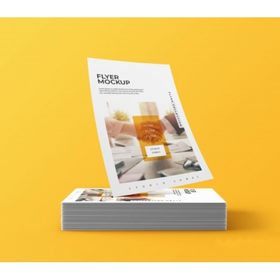 Flyer Έντυπο Α5 2500τμχ